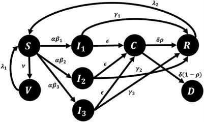 Vaccination and variants: A COVID-19 multi-strain model evolution for the Philippines